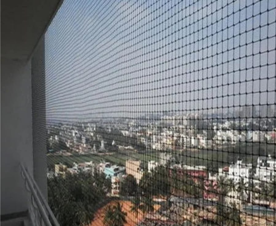 Birds Safety Net Installation