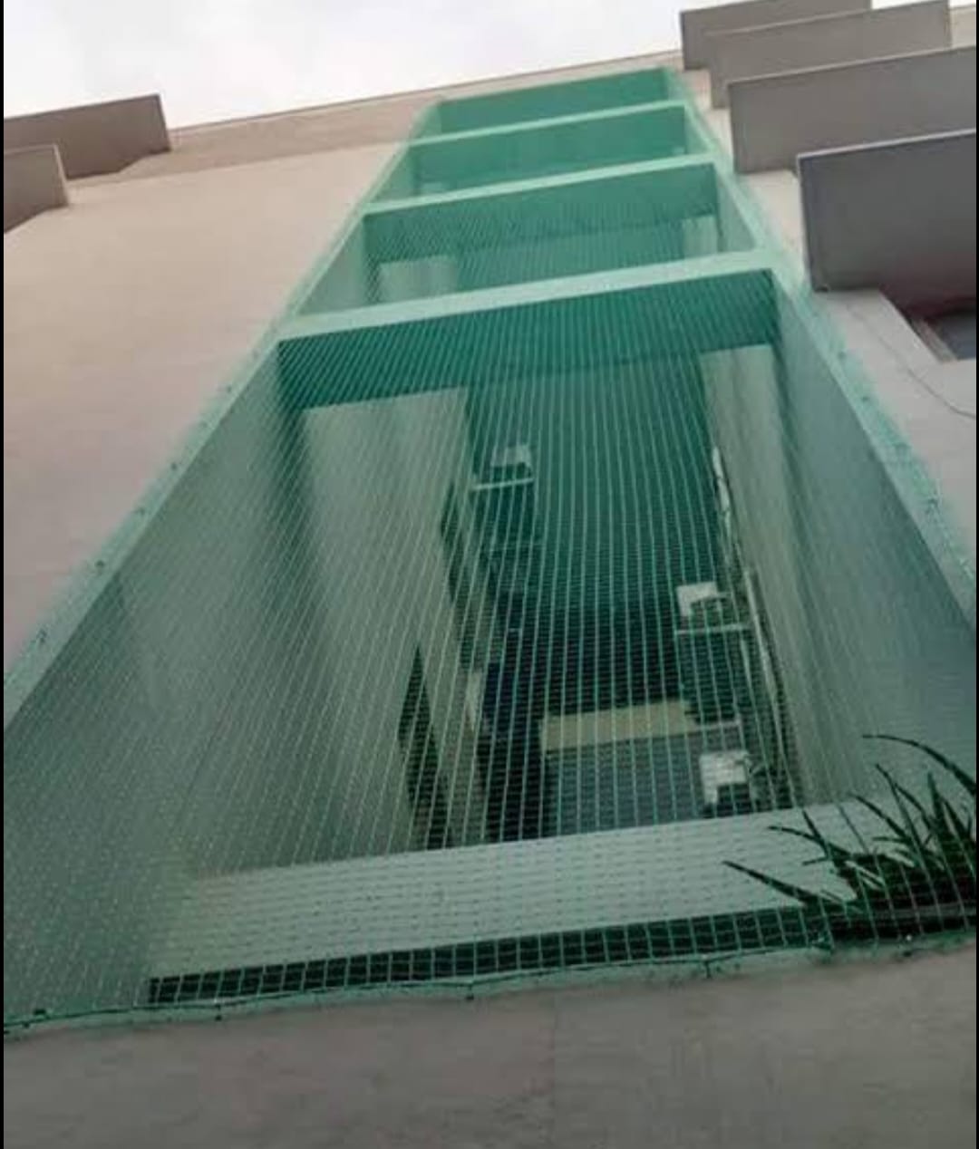 Birds Safety Net Installation